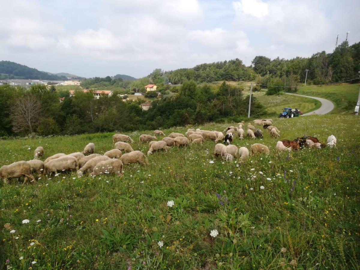 Agriturismo La Cascina Villa Bossolasco Esterno foto