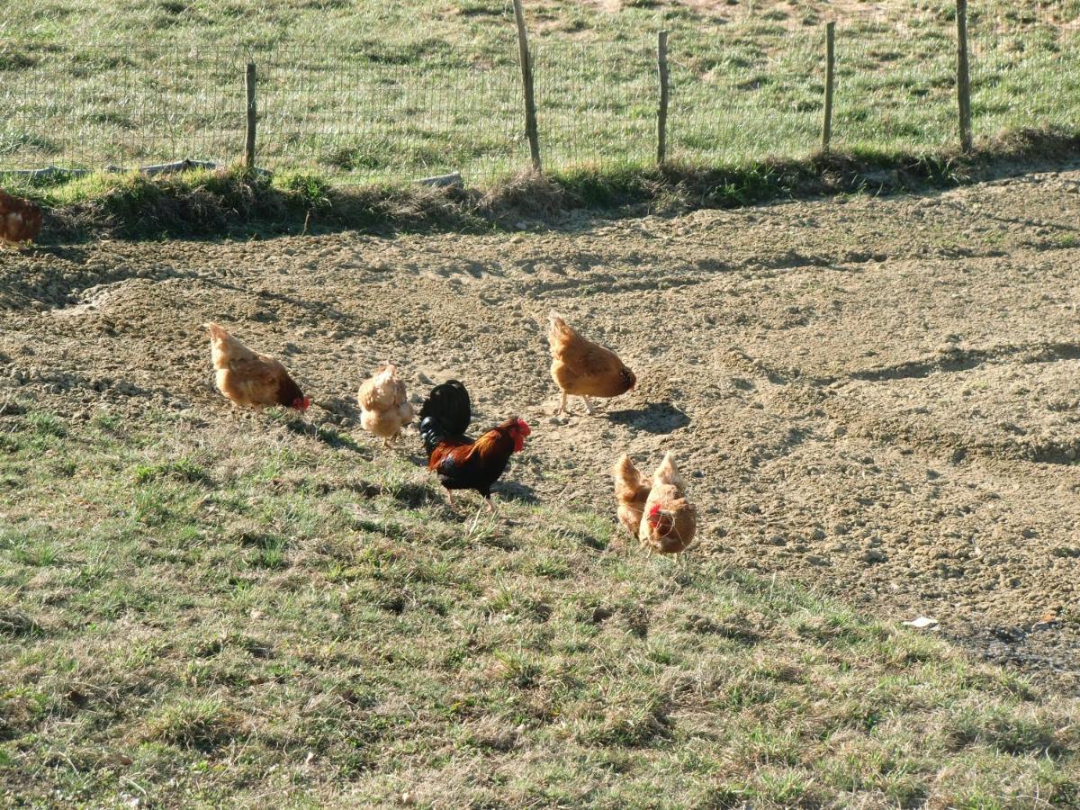 Agriturismo La Cascina Villa Bossolasco Esterno foto